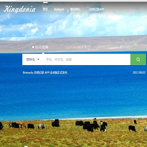 KUN Herbarium Database