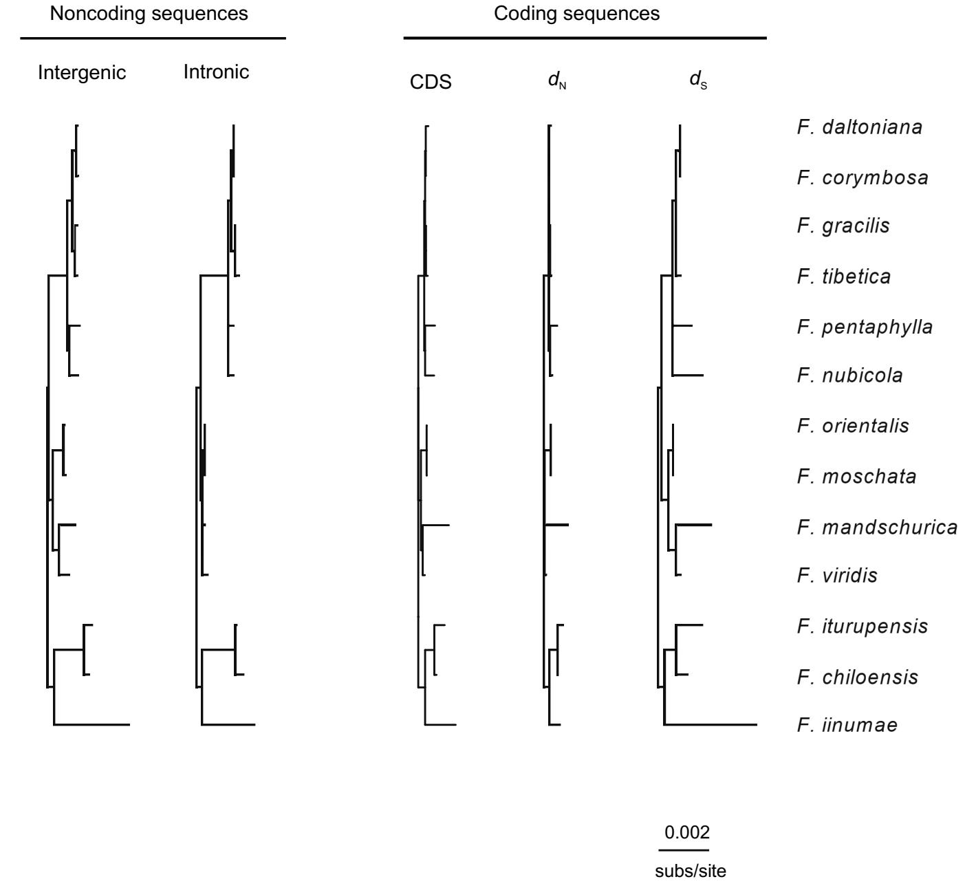 Sequence and Structural Divergence in Fragaria Mitogenomes